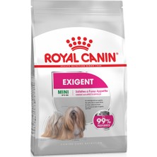 Royal Canin Mini Exigent Küçük Irk Seçici Köpekler için Mama 3 KG