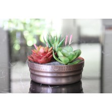 Coho Antique Décor Bakır Saksı