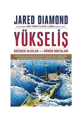 Yükseliş: Krizdeki Uluslar İçin Dönüm Noktaları