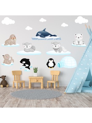 Tilki Dünyası Sevimli Kutup Hayvanları