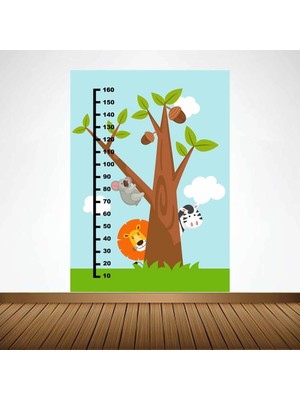 Kt Decoration Aslan - Zebra ve Koala Boy Ölçer Gelişim Tablosu