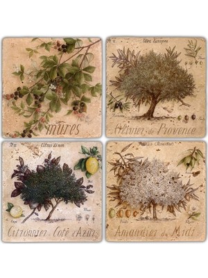 Oscar Stone Doğaltaş Bardak Altlığı  4'lü Set 10 x 10 cm