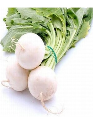 Fide Sepeti Beyaz Turp Tohumu 10gr 1 Paket