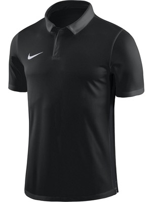 Nike M Dry Acdmy18 Polo Ss Erkek Tişört 899984