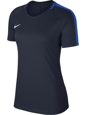 Nike Dry Acdmy 18 Top SS Kadın Tişört 893741-451