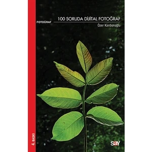 100 Soruda Dijital Fotoğraf