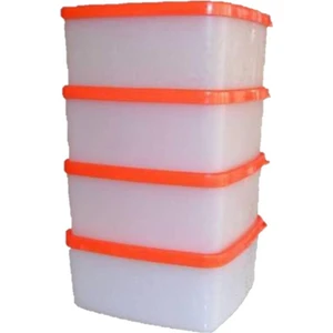 Antartika 4lü Set