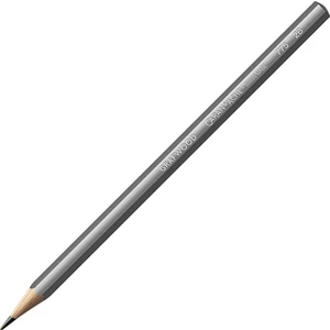 Caran d'Ache Grafwood Dereceli Kalem, 2B
