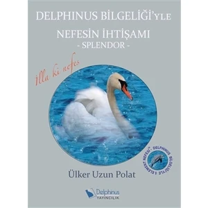 Delphinus Bilgeliği'yle Nefesin İhtişamı