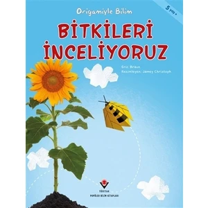 Bitkileri İnceliyoruz - Origamiyle Bilim