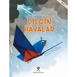 Çılgın Havalar - Origamiyle Bilim
