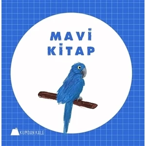 Mavi Kitap