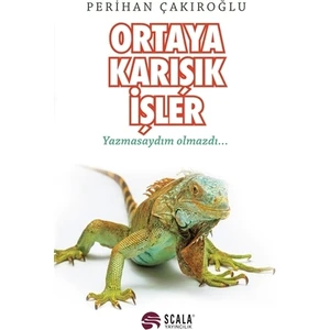 Ortaya Karışık İşler