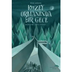 Kuzey Ormanında Bir Gece