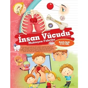 İnsan Vücudu - Muhteşem Fabrika