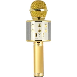 EVR KRK 02 Karaoke Mikrofon Gold