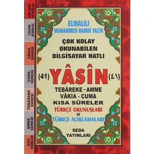 Çok Kolay Okunabilen Bilgisayar Hatlı 41 Yasin (Mini, Kod: 172)