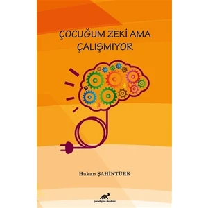 Çocuğum Zeki Ama Çalışmıyor