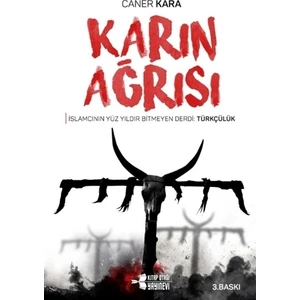 Karın Ağrısı