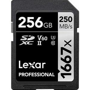 256GB Professional 1667X Sdxc Uhs-Iı