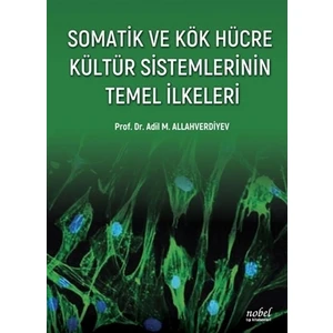Somatik ve Kök Hücre Kültür Sistemlerinin Temel İlkeleri