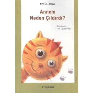 Annem Neden Çıldırdı -  Aytül Akal