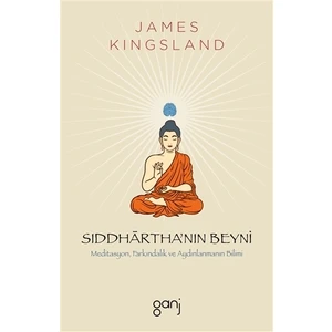 Siddhartha’nın Beyni