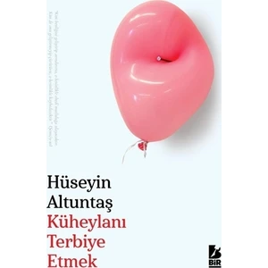 Küheylanı Terbiye Etmek