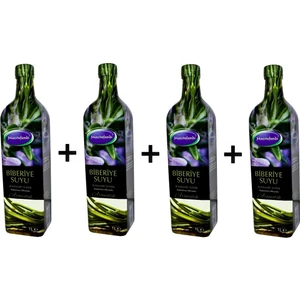 4 Adet Mecitefendi Biberiye Suyu 4 x 1 lt