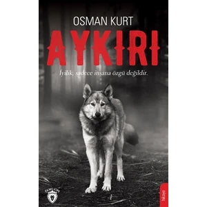 Aykırı
