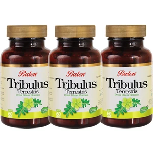 Tribulus Terrestris Demir Dikeni 60 Kapsül x 3 Adet