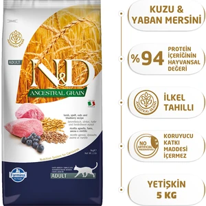 Düşük Tahıllı 5 kg Kuzu Etli Yaban Mersinli Yetişkin Kedi Maması