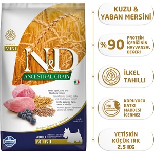 Kuzu Etli Yaban Mersini Düşük Tahıllı Yetişkin Mini Irk 2;5 Kg Köpek Maması
