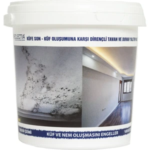 Isospring Küfe ve Neme Son 1 kg