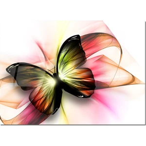 Cam Tablo Kelebek Tablo 50 x 70 cm Uv Baskı Temperli