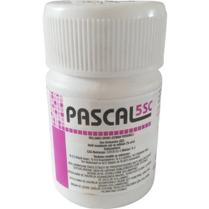 Pascal 5 Sc