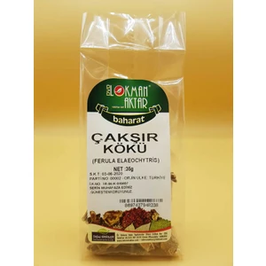 Lokman Aktar Çakşır Kökü
