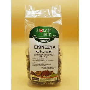 Lokman Aktar Ekinezya