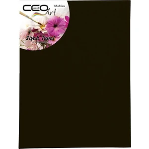 Ceo Art Tuval 25x35