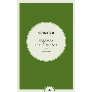 Yaşamak Dediğimiz Şey - Spinoza