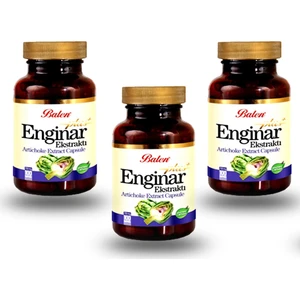 Enginar Plus 100 Kapsül - 820 Mg x 3 Adet