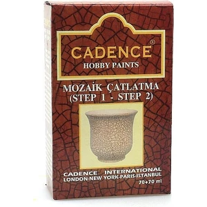 Mozaik Çatlatma (Step 1 - Step 2) 70 + 70 ml