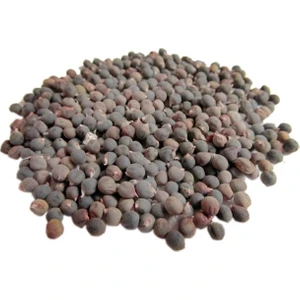 Hazal Baharat Bamya Tohumu - 1.sınıf Organik - Dökme 500gr