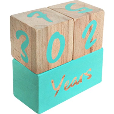 Bebebox Anne Bebek Fotograf Cekim Kupleri Mint Fiyati