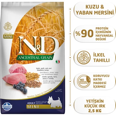 N&D Kuzu Etli Yaban Mersini Düşük Tahıllı Yetişkin Mini Irk 2;5 Kg Köpek