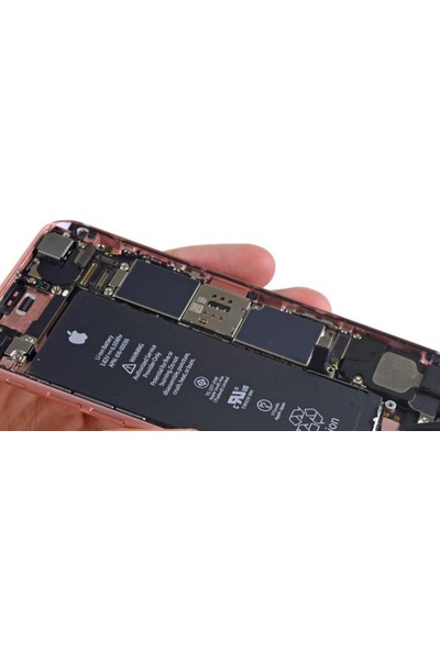 Apple iPhone 7 Batarya