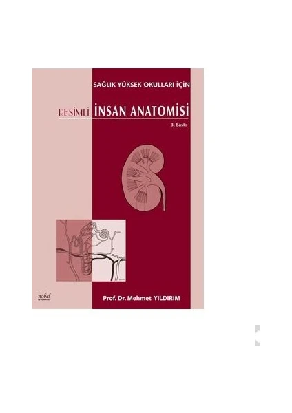 Resimli İnsan Anatomisi (Sağlık Yüksek Okulları İçin) - Mehmet Yıldırım