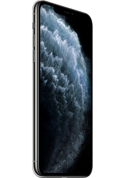 iPhone 11 Pro Max 256 GB Gümüş