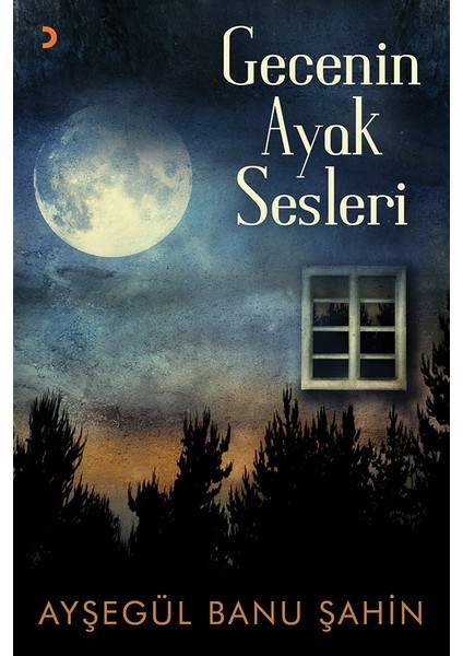 Gecenin Ayak Sesleri - Ayşegül Banu Şahin