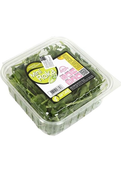 Erüst Baby Roka 125 g Fiyatı, Taksit Seçenekleri ile Satın Al